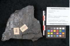 Foto (Objekt + Etikett) von Callipteris sp.  (NHMW-GEO-2024-0188-10922)